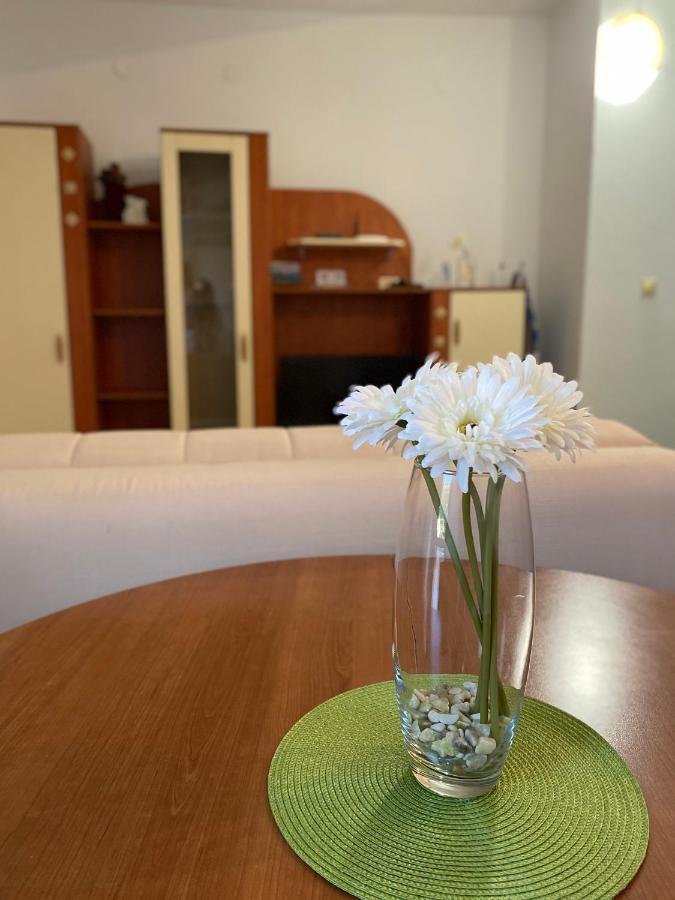 Apartments Mandarina Garden Petrovac Kültér fotó